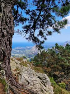 FB IMG 1695102824446